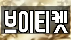 브이티켓