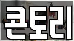 콘토리