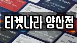 티켓나라 양산점