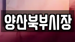 양산북부시장
