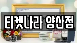 티켓나라 양산점