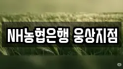 NH농협은행 웅상지점