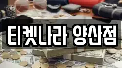 티켓나라 양산점