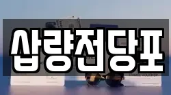 삽량전당포