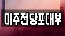 미주전당포대부
