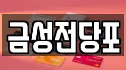 금성전당포