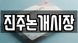 진주논개시장