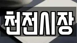천전시장