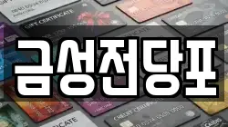 금성전당포