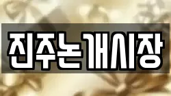 진주논개시장