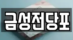 금성전당포
