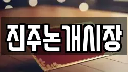 진주논개시장