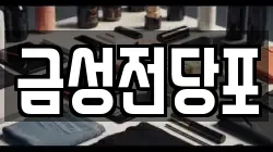 금성전당포