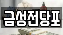 금성전당포