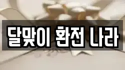 달맞이 환전 나라