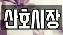 산호시장
