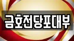 금호전당포대부