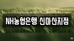 NH농협은행 신마산지점