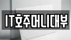 IT호주머니대부