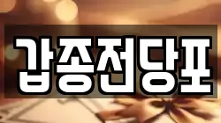 갑종전당포