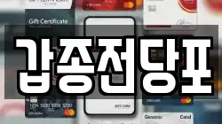 갑종전당포