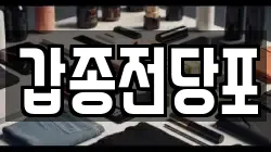 갑종전당포