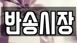 반송시장