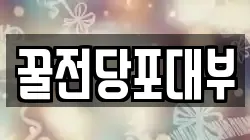 꿀전당포대부