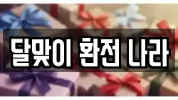 달맞이 환전 나라