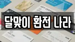 달맞이 환전 나라