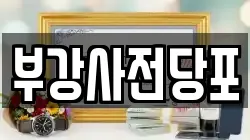 부강사전당포