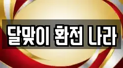 달맞이 환전 나라