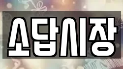 소답시장