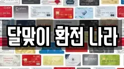 달맞이 환전 나라