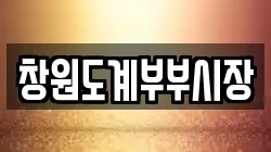창원도계부부시장