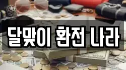달맞이 환전 나라