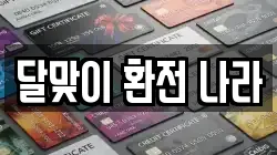 달맞이 환전 나라