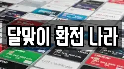 달맞이 환전 나라