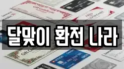 달맞이 환전 나라