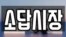 소답시장