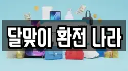 달맞이 환전 나라