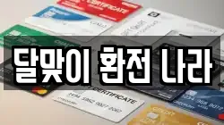 달맞이 환전 나라