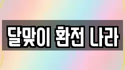 달맞이 환전 나라
