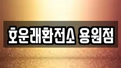 호운래환전소 용원점