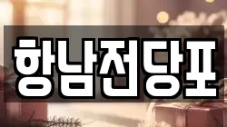 항남전당포