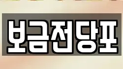 보금전당포