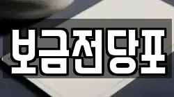 보금전당포