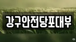 경상남도 통영시 항남동 전당포, 상품권판매, 상품권매매, 환전
