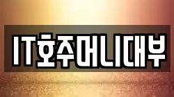 IT호주머니대부