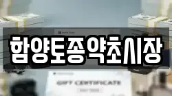 함양토종약초시장